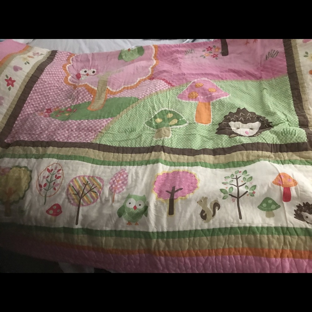Twin sized girls bedding set